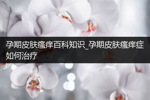 孕期皮肤瘙痒百科知识_孕期皮肤瘙痒症如何治疗