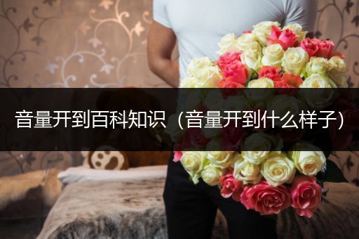 音量开到百科知识（音量开到什么样子）