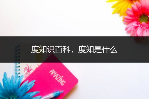 度知识百科，度知是什么