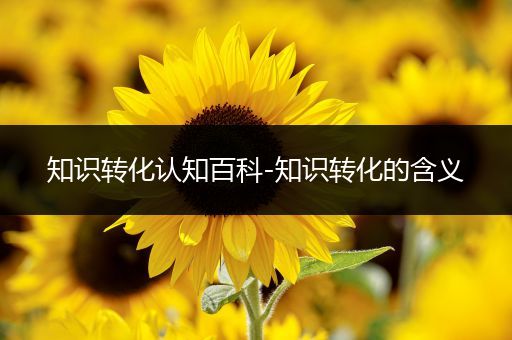 知识转化认知百科-知识转化的含义