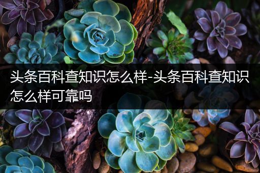 头条百科查知识怎么样-头条百科查知识怎么样可靠吗