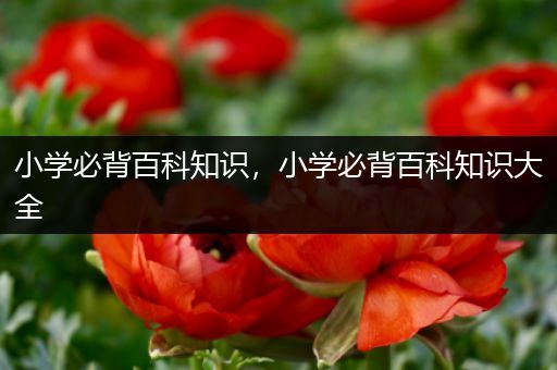 小学必背百科知识，小学必背百科知识大全