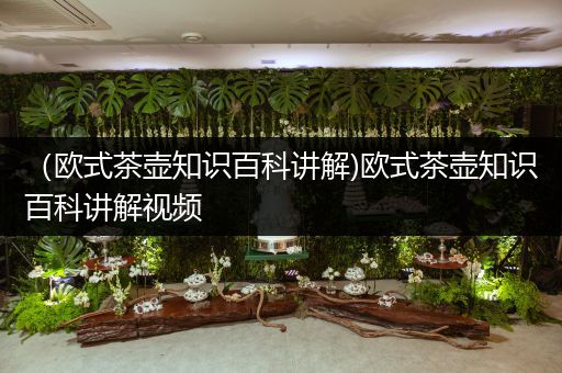（欧式茶壶知识百科讲解)欧式茶壶知识百科讲解视频