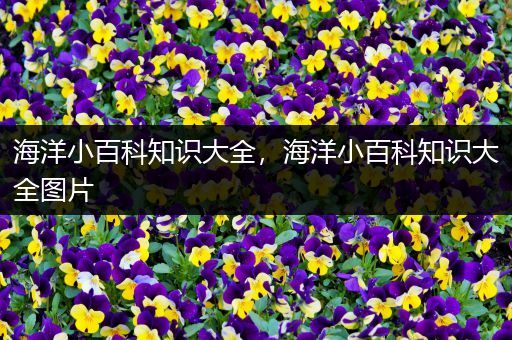 海洋小百科知识大全，海洋小百科知识大全图片