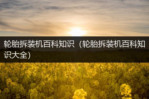 轮胎拆装机百科知识（轮胎拆装机百科知识大全）
