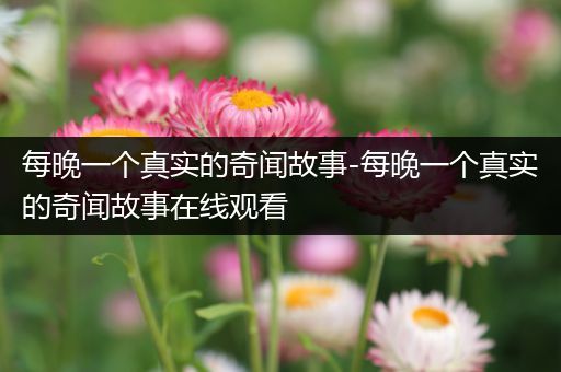 每晚一个真实的奇闻故事-每晚一个真实的奇闻故事在线观看