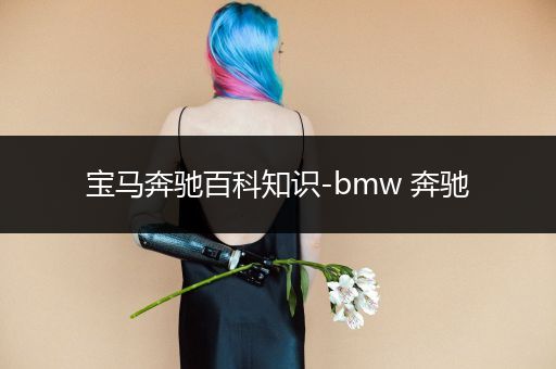 宝马奔驰百科知识-bmw 奔驰
