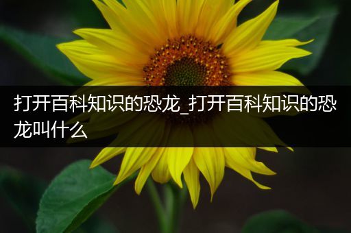 打开百科知识的恐龙_打开百科知识的恐龙叫什么