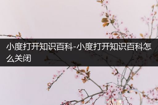 小度打开知识百科-小度打开知识百科怎么关闭