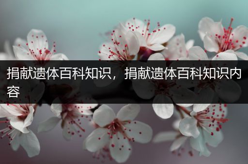捐献遗体百科知识，捐献遗体百科知识内容