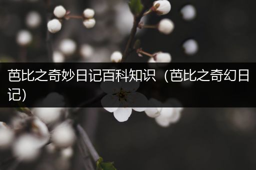 芭比之奇妙日记百科知识（芭比之奇幻日记）