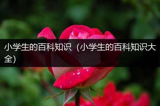 小学生的百科知识（小学生的百科知识大全）