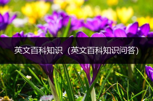 英文百科知识（英文百科知识问答）