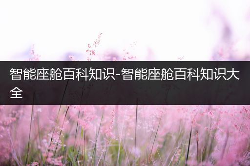 智能座舱百科知识-智能座舱百科知识大全