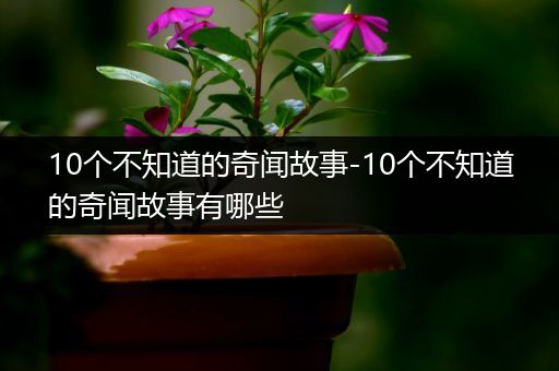 10个不知道的奇闻故事-10个不知道的奇闻故事有哪些