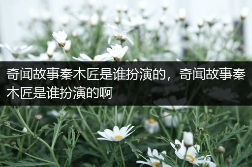 奇闻故事秦木匠是谁扮演的，奇闻故事秦木匠是谁扮演的啊