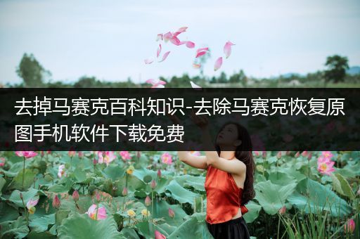 去掉马赛克百科知识-去除马赛克恢复原图手机软件下载免费