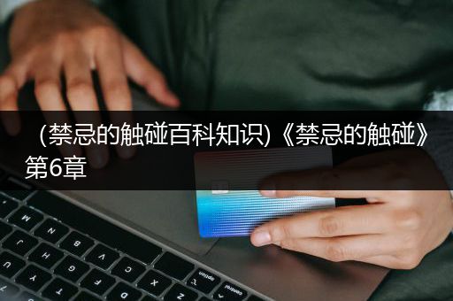 （禁忌的触碰百科知识)《禁忌的触碰》第6章