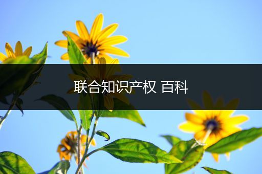 联合知识产权 百科