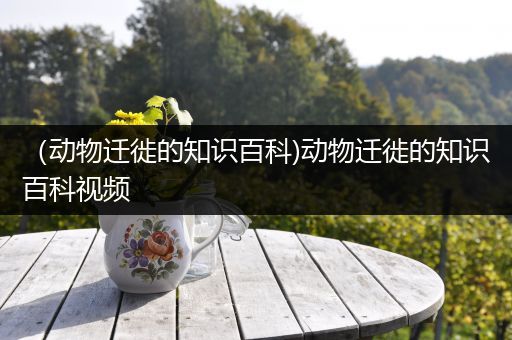 （动物迁徙的知识百科)动物迁徙的知识百科视频