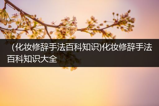 （化妆修辞手法百科知识)化妆修辞手法百科知识大全