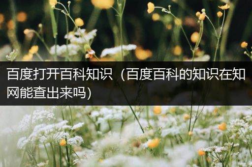 百度打开百科知识（百度百科的知识在知网能查出来吗）