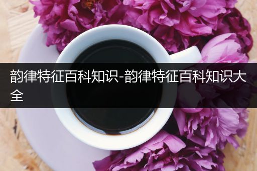 韵律特征百科知识-韵律特征百科知识大全