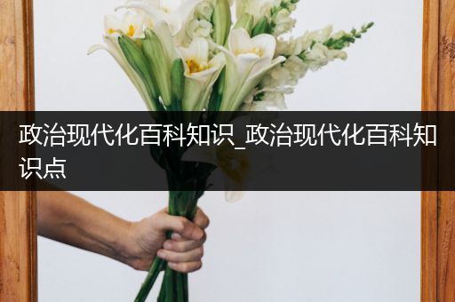 政治现代化百科知识_政治现代化百科知识点