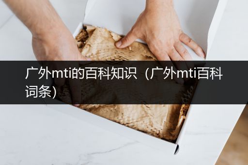 广外mti的百科知识（广外mti百科词条）