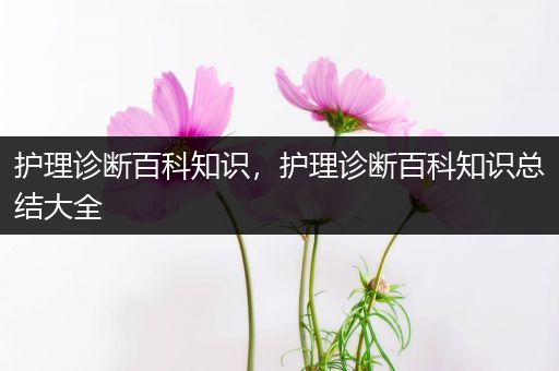 护理诊断百科知识，护理诊断百科知识总结大全