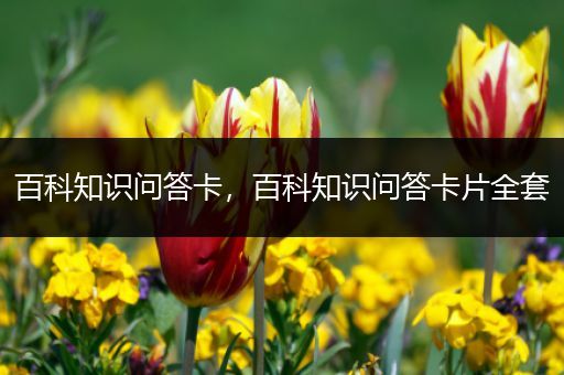 百科知识问答卡，百科知识问答卡片全套