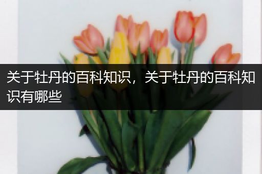 关于牡丹的百科知识，关于牡丹的百科知识有哪些