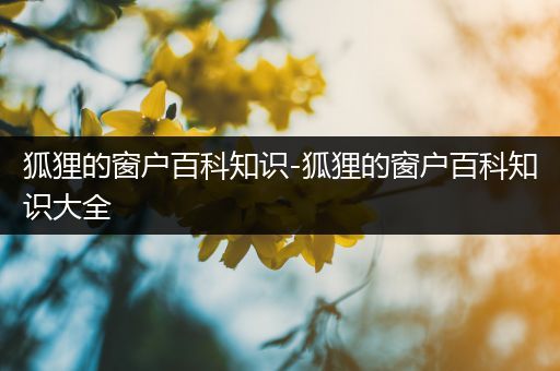 狐狸的窗户百科知识-狐狸的窗户百科知识大全