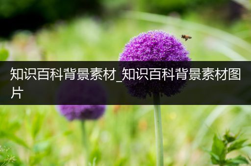 知识百科背景素材_知识百科背景素材图片