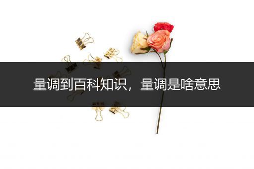 量调到百科知识，量调是啥意思