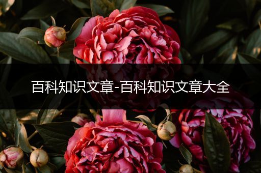 百科知识文章-百科知识文章大全