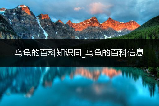 乌龟的百科知识同_乌龟的百科信息