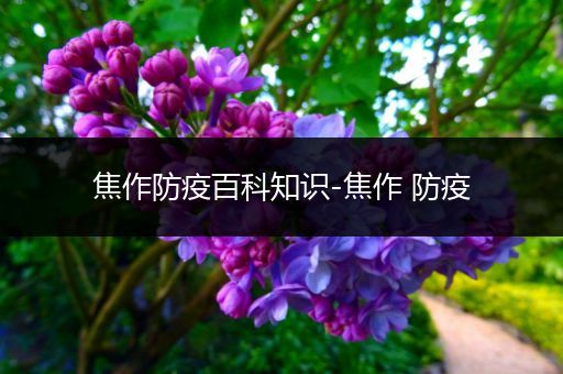 焦作防疫百科知识-焦作 防疫