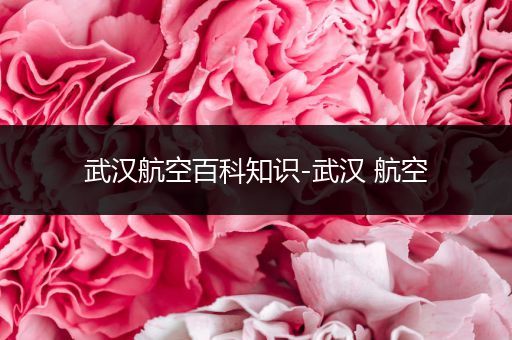 武汉航空百科知识-武汉 航空