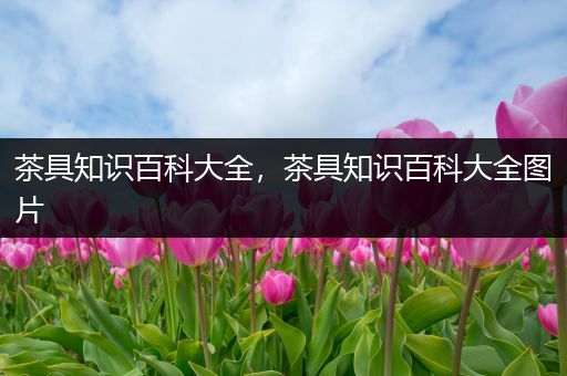 茶具知识百科大全，茶具知识百科大全图片