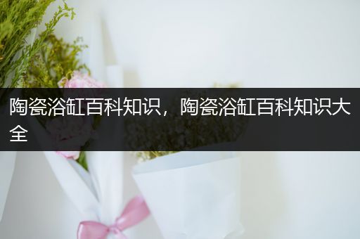陶瓷浴缸百科知识，陶瓷浴缸百科知识大全