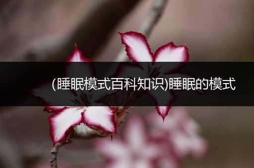 （睡眠模式百科知识)睡眠的模式