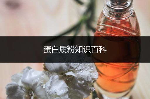 蛋白质粉知识百科
