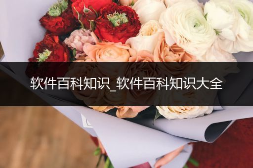 软件百科知识_软件百科知识大全