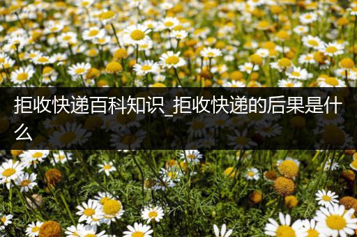 拒收快递百科知识_拒收快递的后果是什么