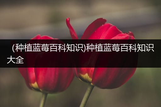（种植蓝莓百科知识)种植蓝莓百科知识大全