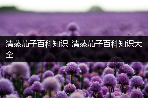 清蒸茄子百科知识-清蒸茄子百科知识大全