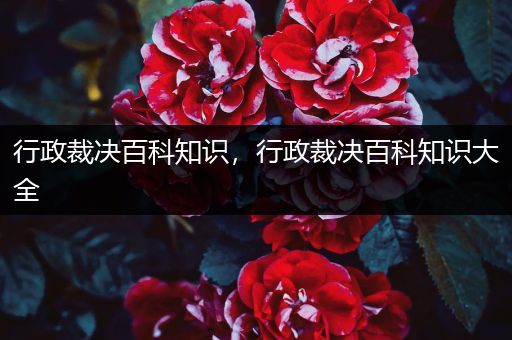 行政裁决百科知识，行政裁决百科知识大全