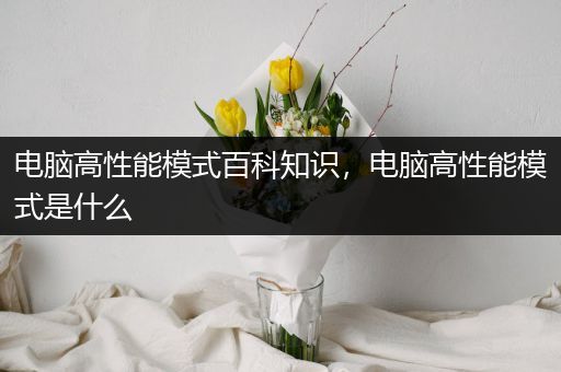 电脑高性能模式百科知识，电脑高性能模式是什么