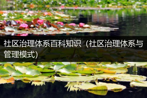 社区治理体系百科知识（社区治理体系与管理模式）